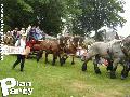reportage de la fête de la Myrtille à Vielsam — photo 41