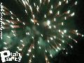 reportage de la fête de la Myrtille à Vielsam — photo 231