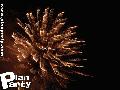 reportage de la fête de la Myrtille à Vielsam — photo 252