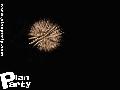 reportage de la fête de la Myrtille à Vielsam — photo 254